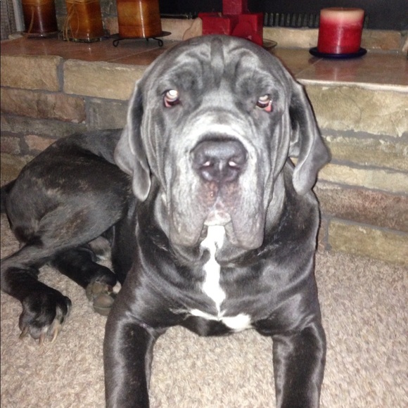 ๐พ๐พ๐พ๐พ๐พ๐พ๐พ๐พ๐พ๐พ๐พ๐พ - Picture 5 of 7